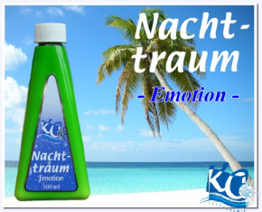 Nachttraum